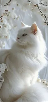 Elegant white fluffy cat surrounded by cherry blossoms.