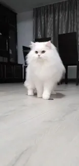 White cat gracefully walking on floor in modern interior setting.