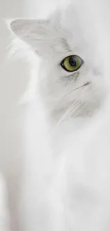 Elegant white cat with green eyes peeking through soft focus.