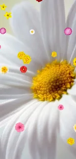 Close-up of elegant white daisy with vibrant yellow center.