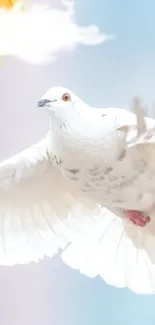 White dove soaring through a soft, blue sky.