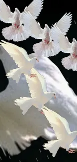 Mobile wallpaper of white doves in flight against a black background.