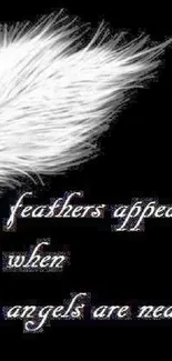 White feather with inspirational quote on black background.