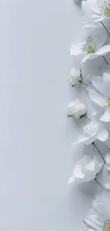 Elegant white floral wallpaper with minimalist blossoms.