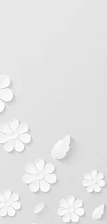 Elegant white floral pattern wallpaper with minimalist design.