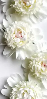 Elegant white flowers arranged in a diagonal pattern on a phone wallpaper.