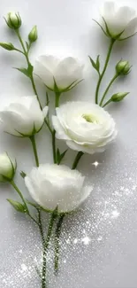 Elegant white floral wallpaper with delicate blossoms and sparkling accents.