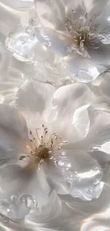 White flowers floating gently on water surface.