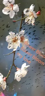 White blossoms on a branch with blue sky background, enhanced by artistic bird silhouettes.