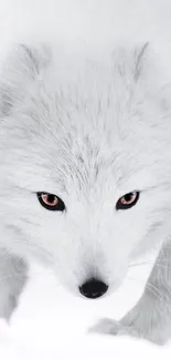 Close-up of a white fox in a serene setting, perfect for a mobile phone wallpaper.