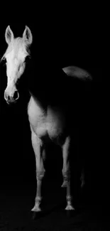 Silhouette of an elegant white horse on a black background for mobile wallpaper.