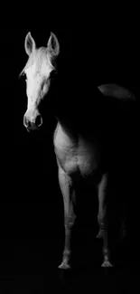 Elegant white horse on a dark background for mobile wallpaper.