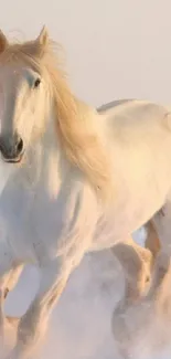 Elegant white horse running gracefully across a serene landscape.