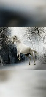 Majestic white horse in snowy forest wallpaper.