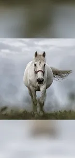 A majestic white horse runs on a gray landscape.