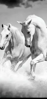 Two white horses running through water in a monochrome setting.