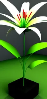 Elegant white lily with vibrant green leaves against a dark background.