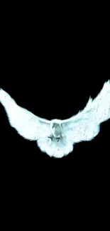 White owl in flight with black background wallpaper.