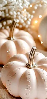 Elegant white pumpkins with sparkling details.