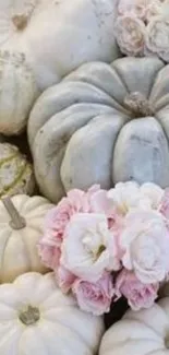 Elegant display of white pumpkins with pink roses.