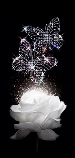 A glowing white rose with sparkling butterflies on a black background.