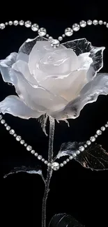 White rose within a heart of pearls on black.