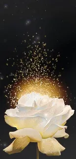 White rose with golden sparkles on a black background.