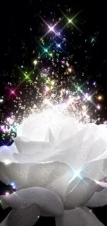 White rose with sparkling magical effects on black background.