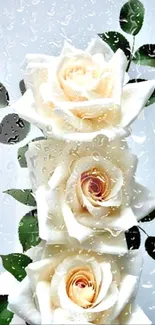 Elegant white roses with green leaves on a light background.