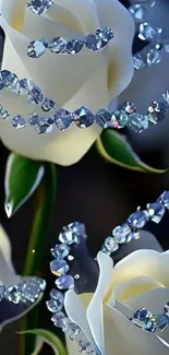 Luxurious wallpaper of white roses entwined with sparkling blue gems.