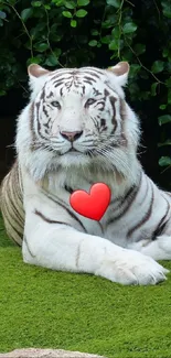 White tiger lounging on green grass with lush foliage background.