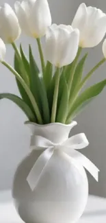 Elegant white tulips in a ceramic vase with a bow.