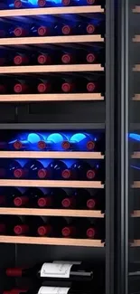 Elegant wine cellar with wooden shelves and bottles.