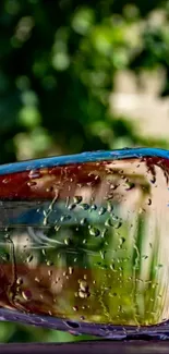 Elegant wine glass with water droplets, reflecting greenery and vibrant colors.