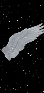 White angel wing against a starry black sky background.