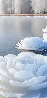 Frost flowers floating on serene winter lake