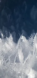 Close-up of frost crystals against a dark blue background on a mobile wallpaper.