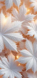 White winter leaves with golden lights.