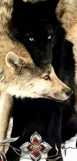 Black and tan wolves embrace delicately.