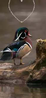 Wood duck on log with heart shaped pattern above.