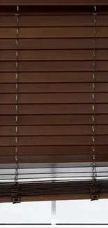 Wooden blinds with natural light filtering through.