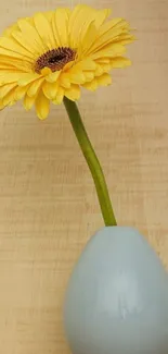 Yellow flower in blue vase against beige background.