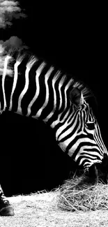 Elegant zebra wallpaper with black and white stripes on a minimalist background.