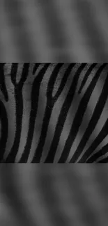 Mobile wallpaper featuring elegant black and grey zebra stripes.