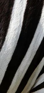 Zebra pattern wallpaper with black and white stripes.