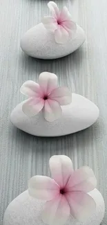 Pink flowers on white stones with a light gray background.