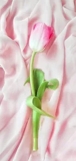 Single pink tulip on soft pink draped fabric background.