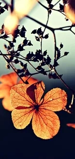 Rustic floral wallpaper featuring dried orange flowers.