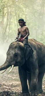 Man riding elephant in misty forest.