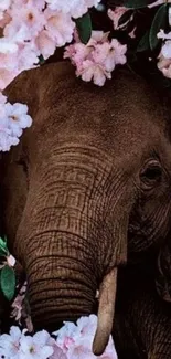 Majestic elephant amidst pink blossoms creating a serene wallpaper scene.